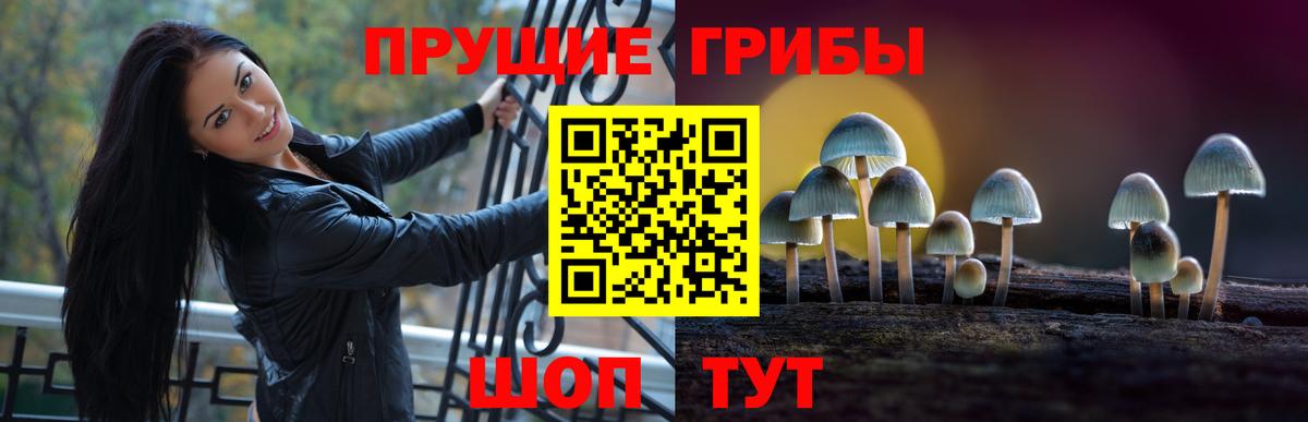 Галлюциногенные грибы Cubensis Тулун